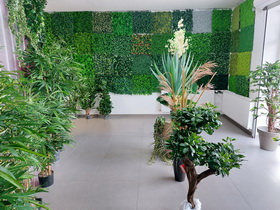 showroom STUDIOGREEN